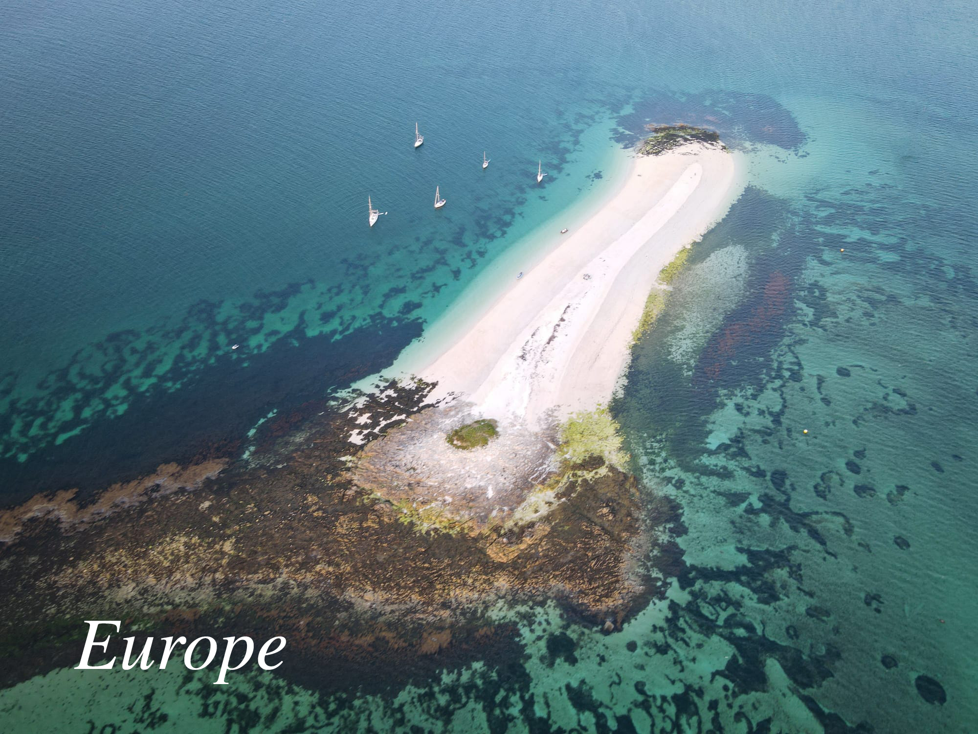 Iles de Glenan knop
